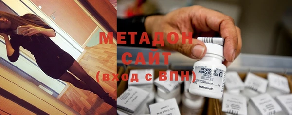 прущие грибы Покров