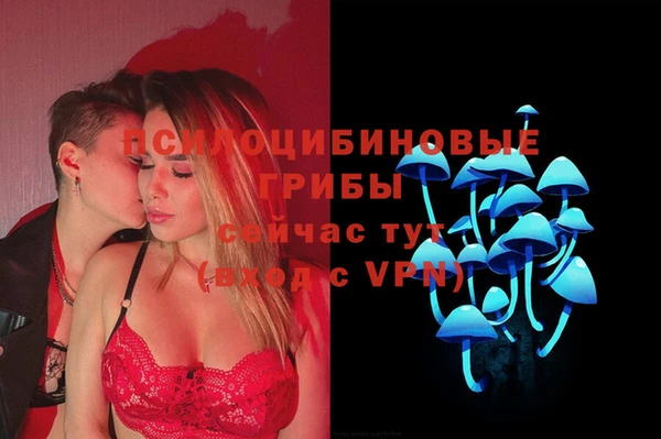 a pvp Алзамай