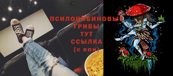 стаф Абдулино