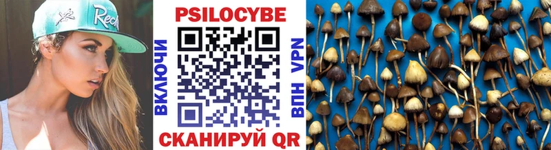 купить наркотики сайты  Курлово  Галлюциногенные грибы мухоморы 